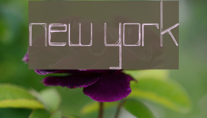 NEW YORK Font examples