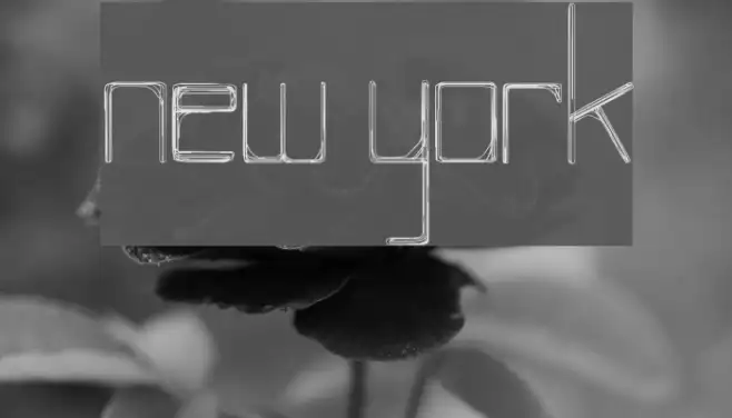NEW YORK Example 1