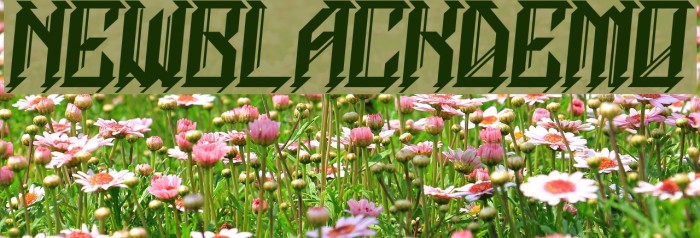 NEWBLACKDEMO Font examples