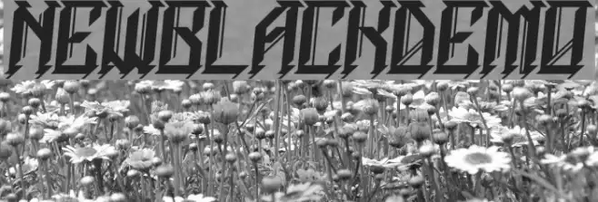 NEWBLACKDEMO Example 2