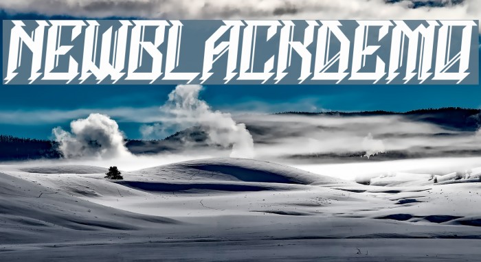 NEWBLACKDEMO Font examples