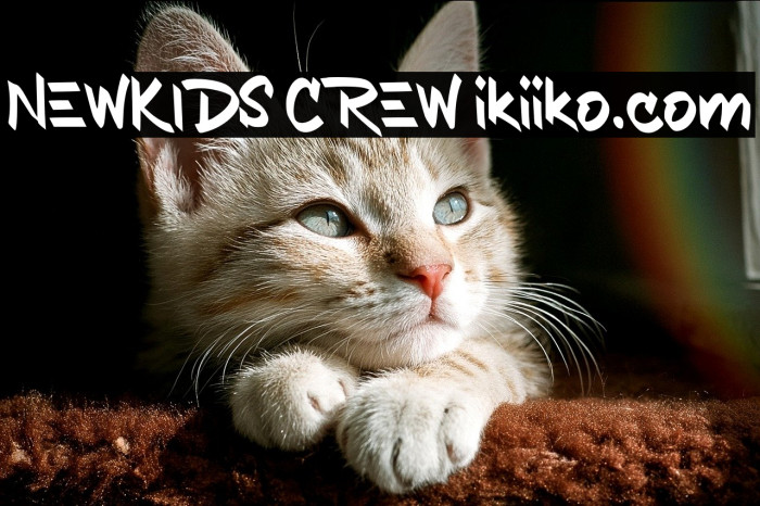 NEWKIDS CREW ikiiko.com Example 1