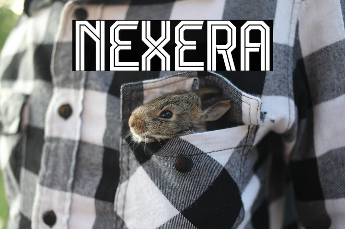 NEXERA Example 2