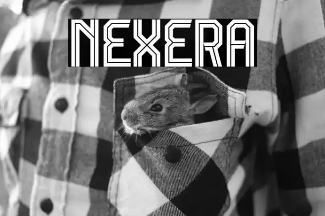 NEXERA خط examples