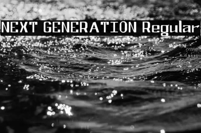 NEXT GENERATION Regular Example 2