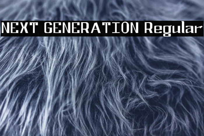 NEXT GENERATION Regular Example 3