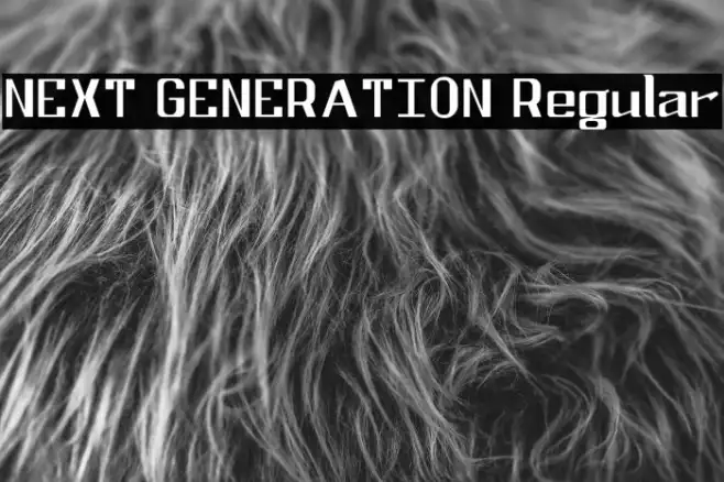 NEXT GENERATION Regular Example 3
