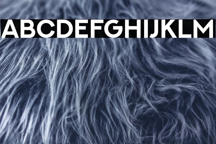 NEXTART-Bold Example 1