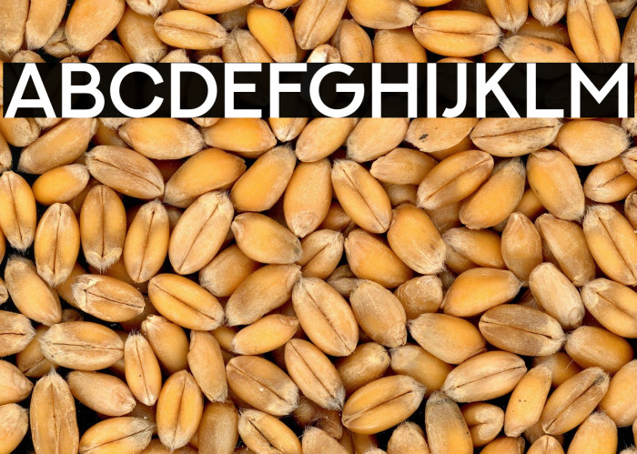 NEXTART-SemiBold Example 1