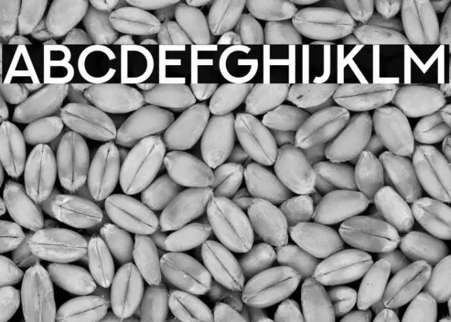 NEXTART-SemiBold Font examples