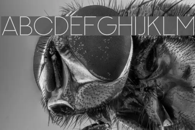 NEXTART-Thin Font examples