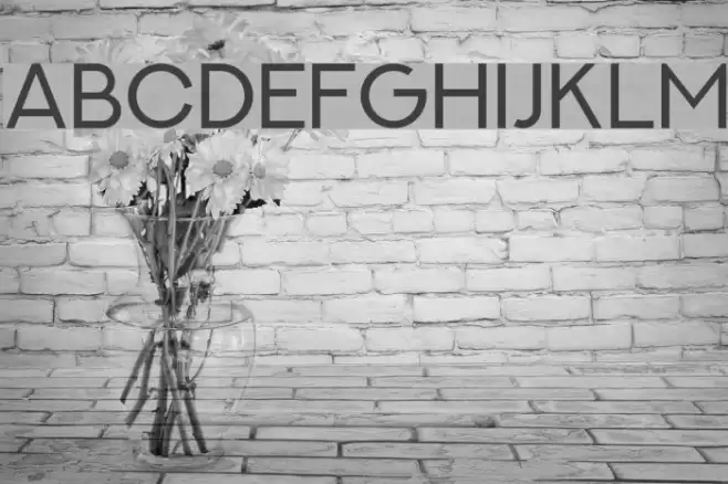 NEXTART Font examples