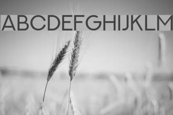 NEXTART Font examples