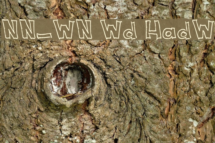 NeNe_WeNo Width HandWrite フォント examples