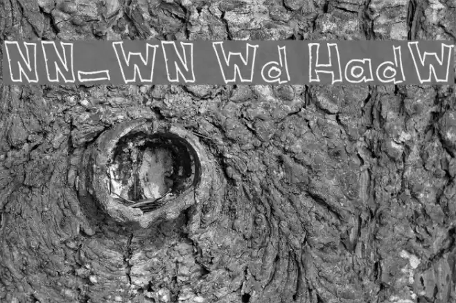 NeNe_WeNo Width HandWrite フォント examples