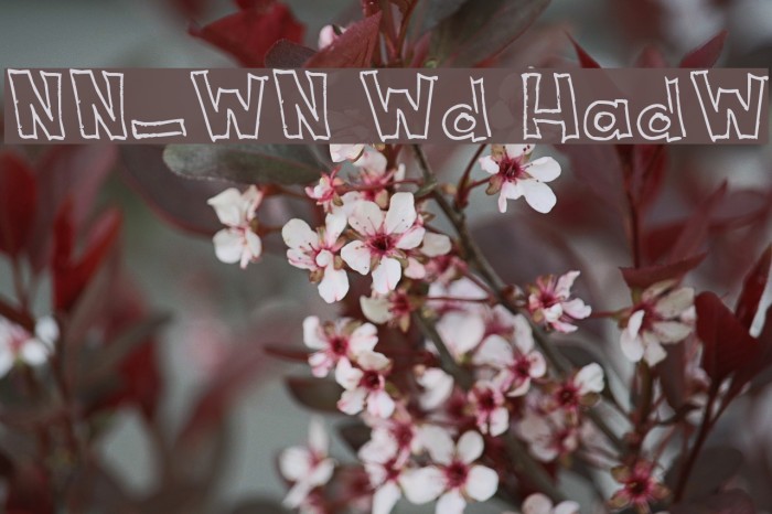 NeNe_WeNo Width HandWrite フォント examples