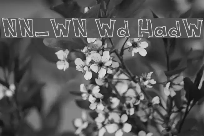 NeNe_WeNo Width HandWrite フォント examples