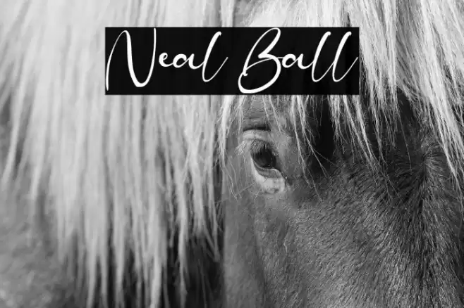Neal Ball Font examples
