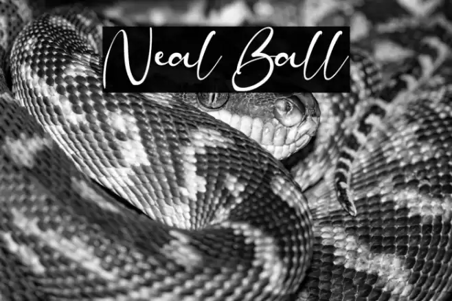 Neal Ball Font examples