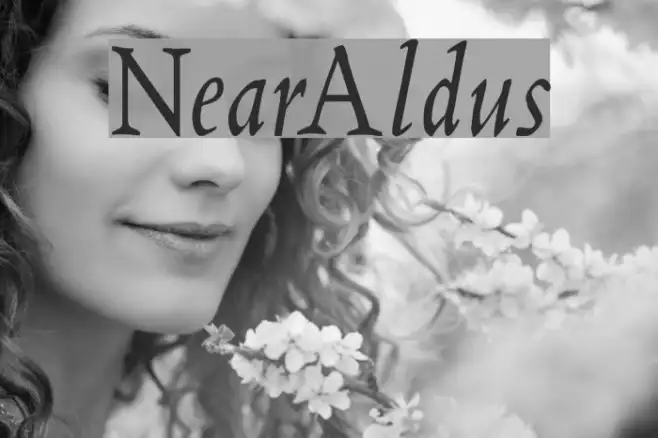 NearAldus Example 1