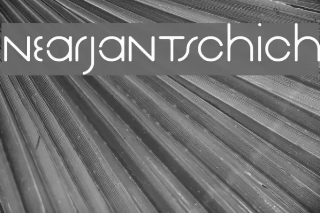 NearJanTschich Fonte examples