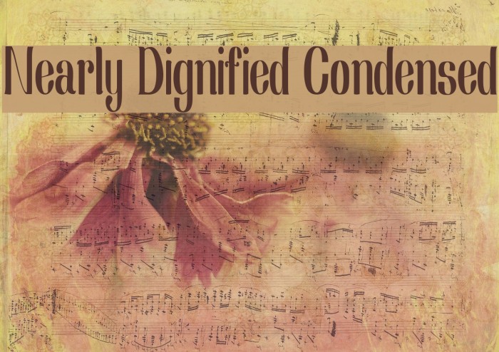 Nearly Dignified Condensed Font examples