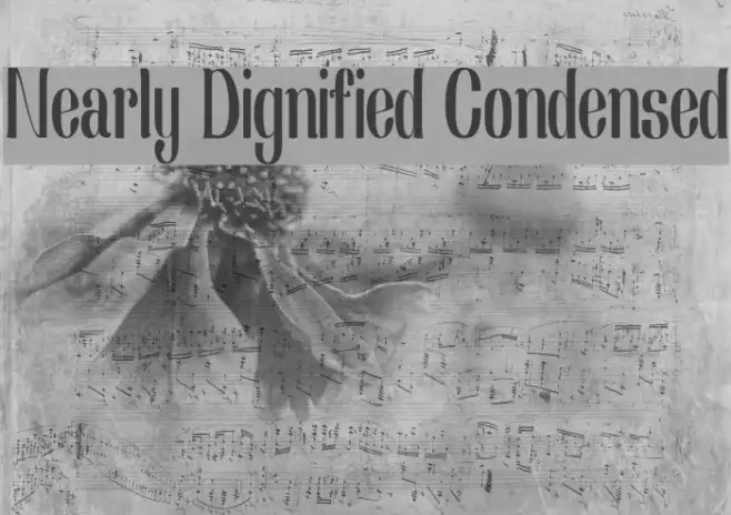 Nearly Dignified Condensed Example 1
