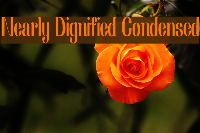 Nearly Dignified Condensed Font examples