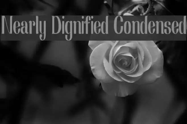 Nearly Dignified Condensed Example 2