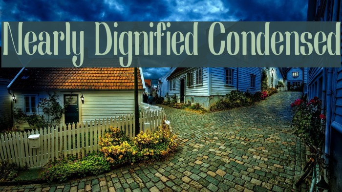 Nearly Dignified Condensed Font examples