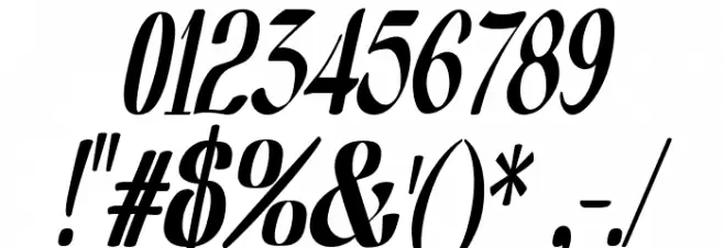 Nearly Dignified Light Italic Font Alte caractere