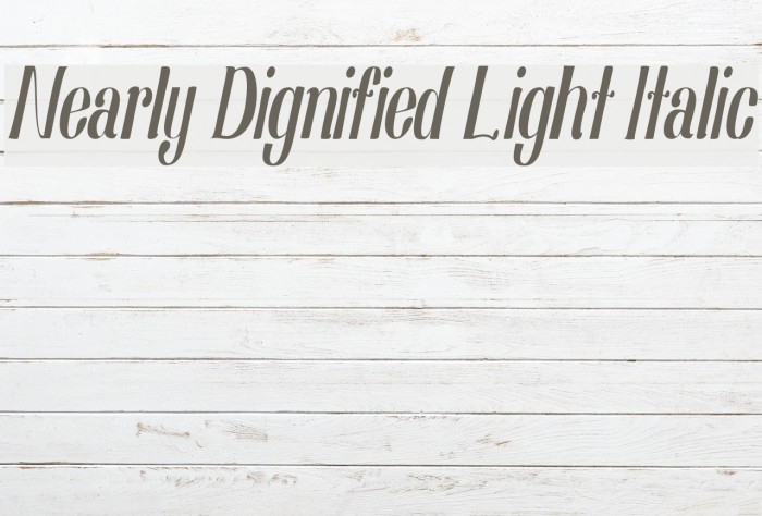 Nearly Dignified Light Italic Font examples