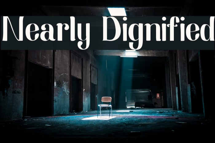Nearly Dignified Font examples