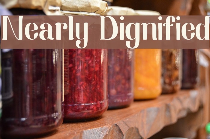 Nearly Dignified Font examples