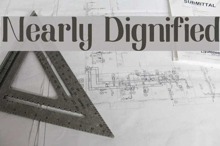 Nearly Dignified Font examples
