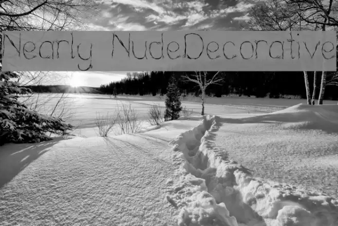 Nearly NudeDecorative Font examples