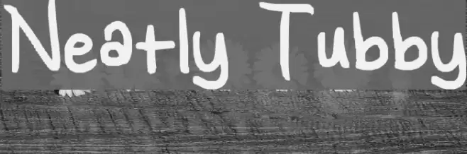 Neatly Tubby Font examples