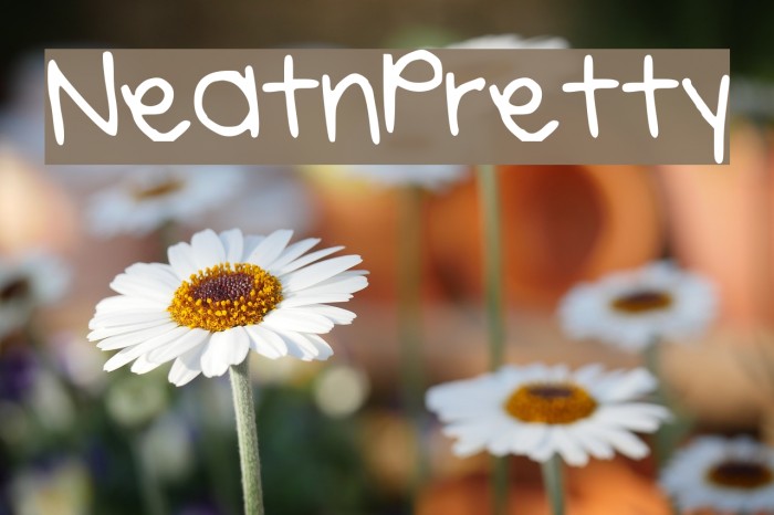 Neatnpretty Font examples