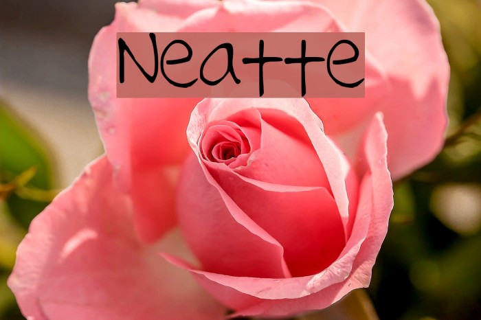 Neatte Font examples