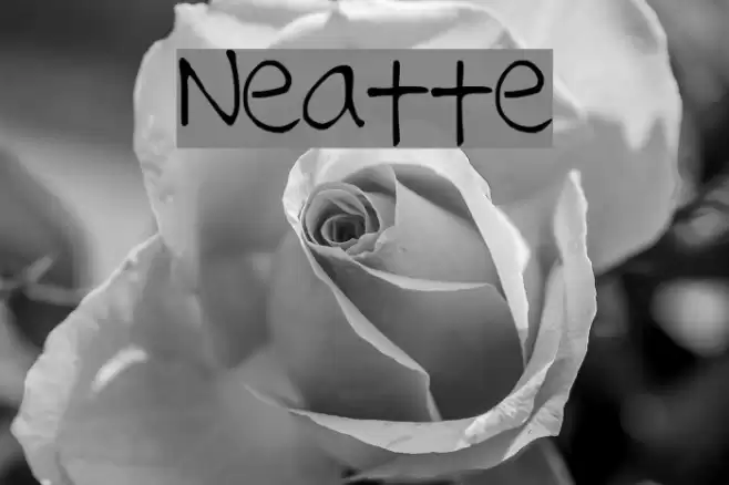 Neatte خط examples