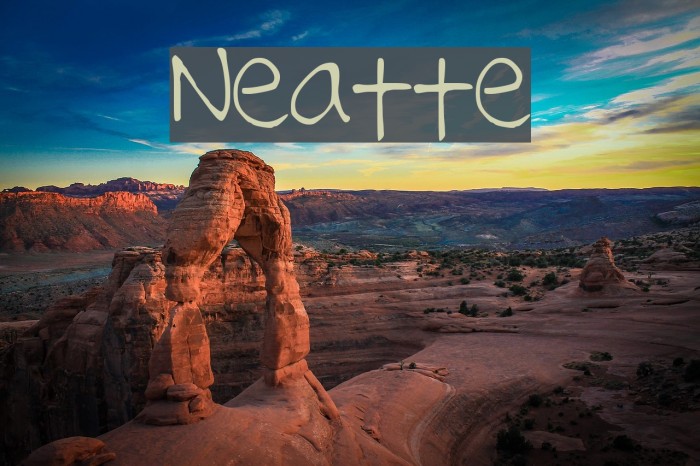 Neatte Font examples