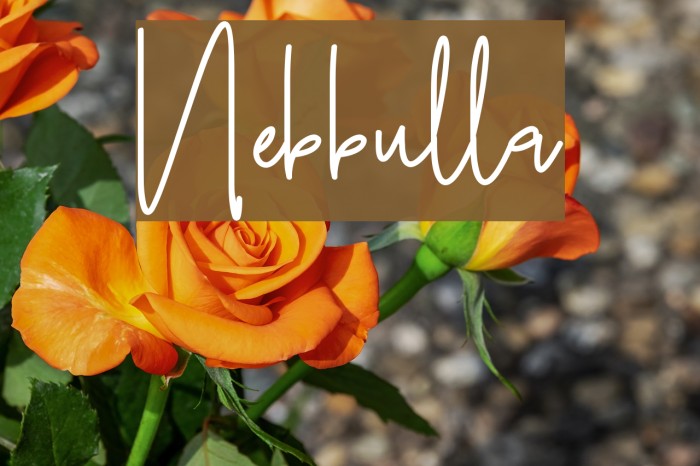 Nebbulla Font examples