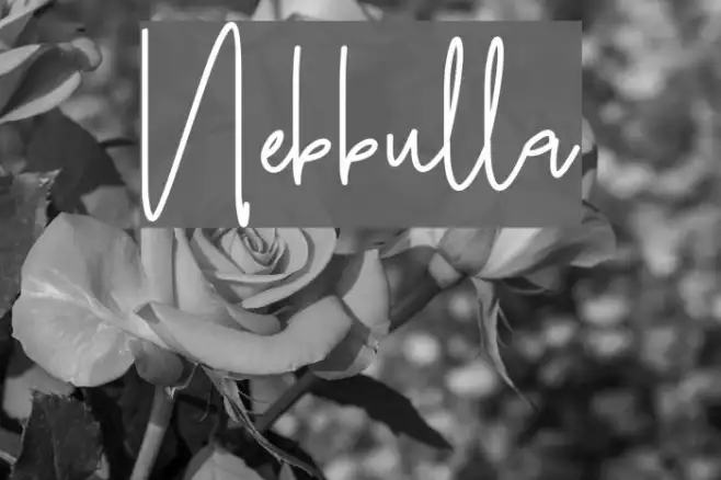 Nebbulla Example 1