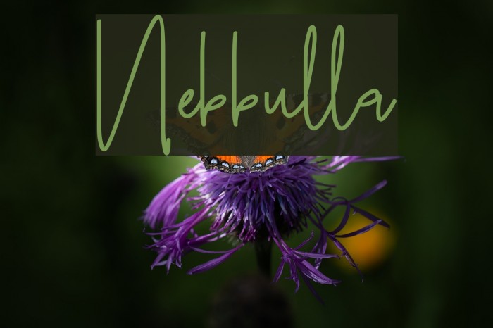 Nebbulla Font examples