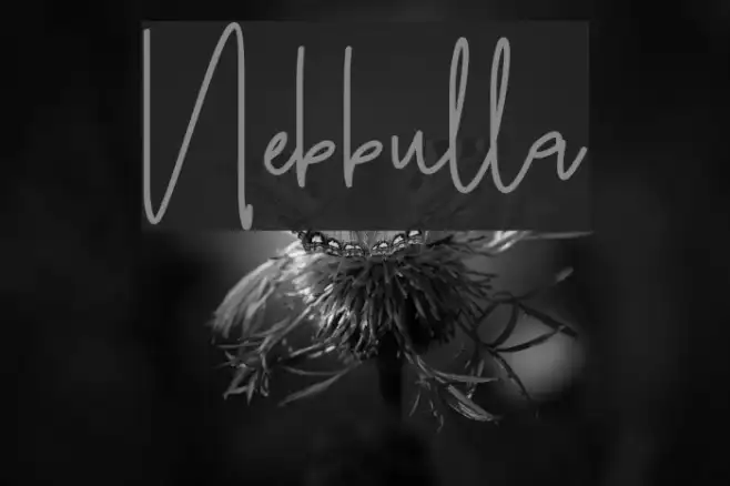 Nebbulla Example 2