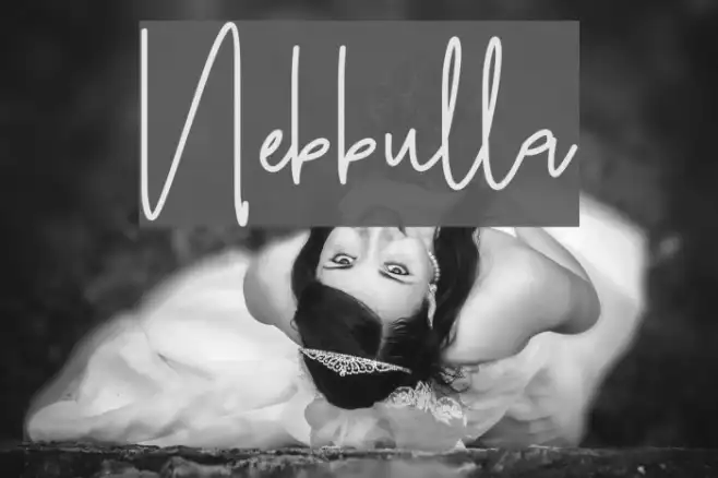 Nebbulla Example 3