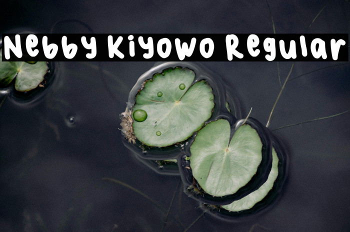 Nebby Kiyowo Regular Example 2
