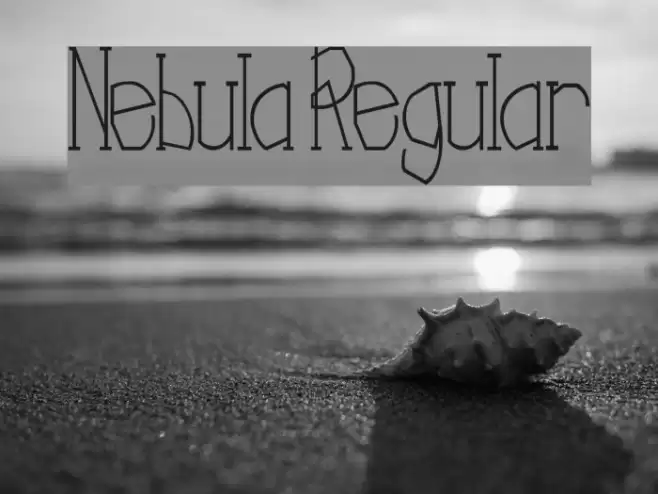 Nebula Regular Polices examples