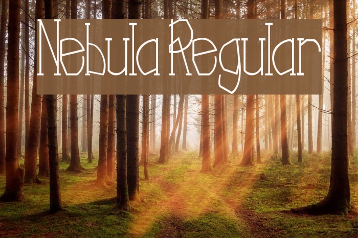 Nebula Regular Polices examples
