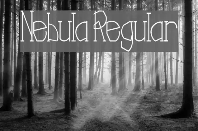 Nebula Regular Polices examples